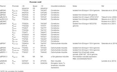 Recent Development of Probiotic Bifidobacteria for Treating Human Diseases